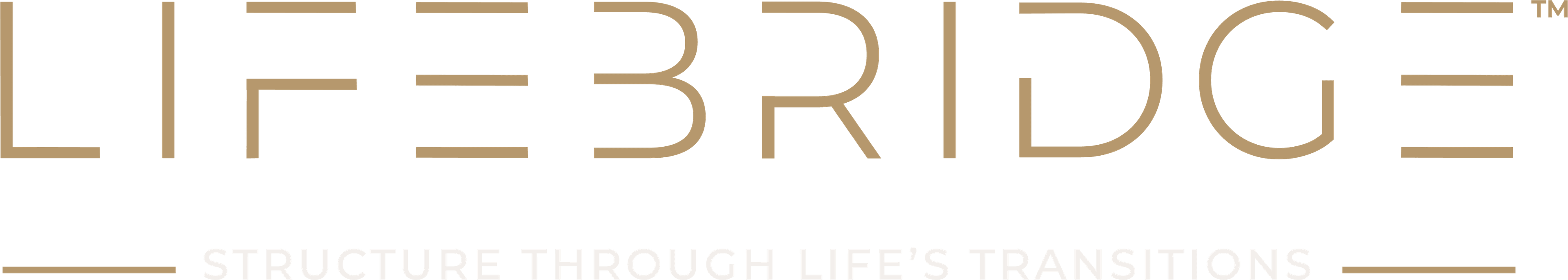 LifeBridge — Structure Through Life's Transitions